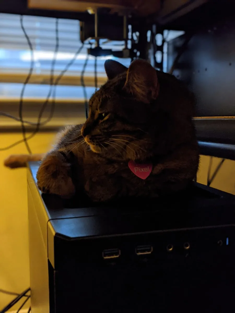 A dark tortoiseshell cat sitting on top of a desktop computer in front of a monitor