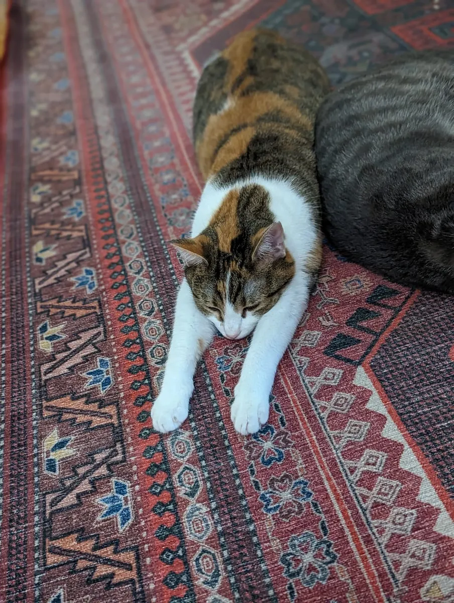 A calico cat lying face-down on a patterned rug beside a second cat