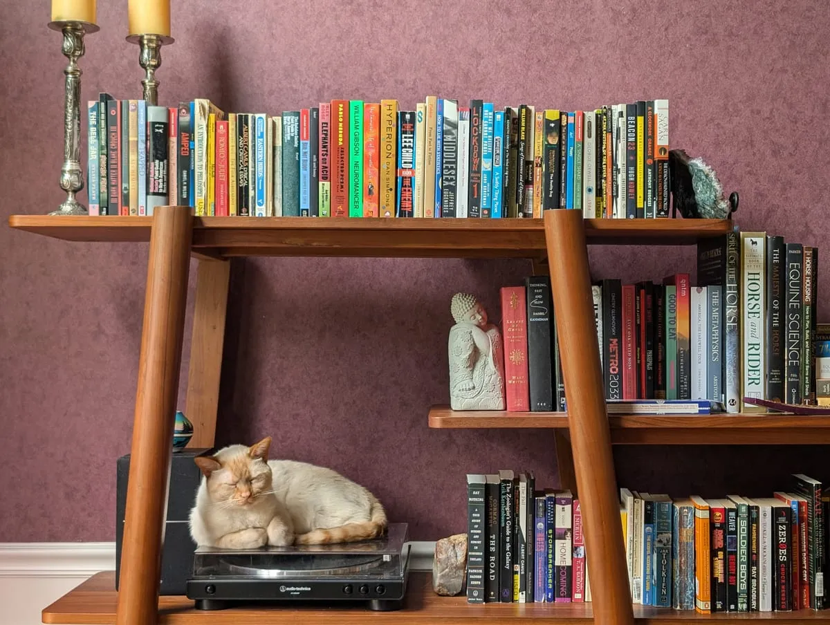 A cream-colored cat asleep on a turntable on a shelf beneath rows of books