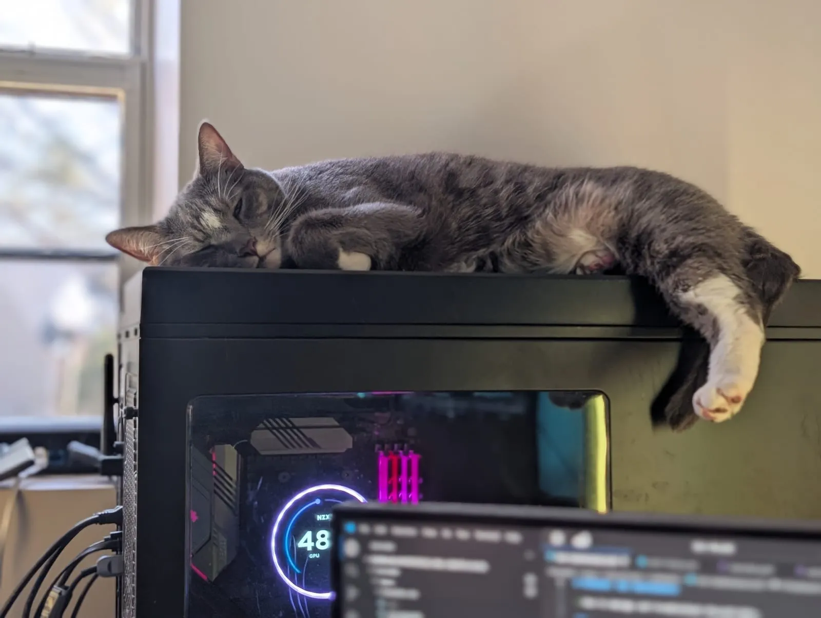 A grey tabby cat asleep on top of a glowing tower PC with RGB lighting and a temperature gauge on the front panel