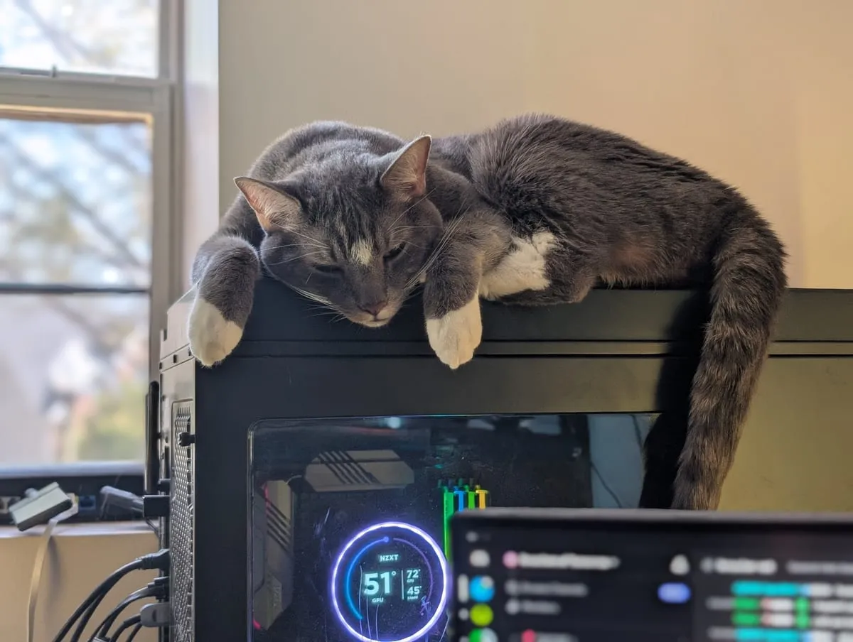 A gray and white tabby cat draped over the top of a tower PC with its side panel lit, front paws hanging over the edge
