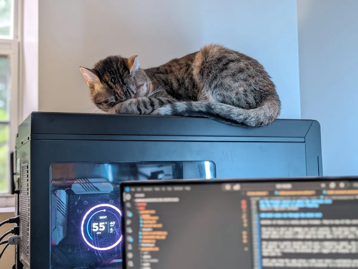 A brown tabby and white cat asleep on top of a monitor above a lit desktop